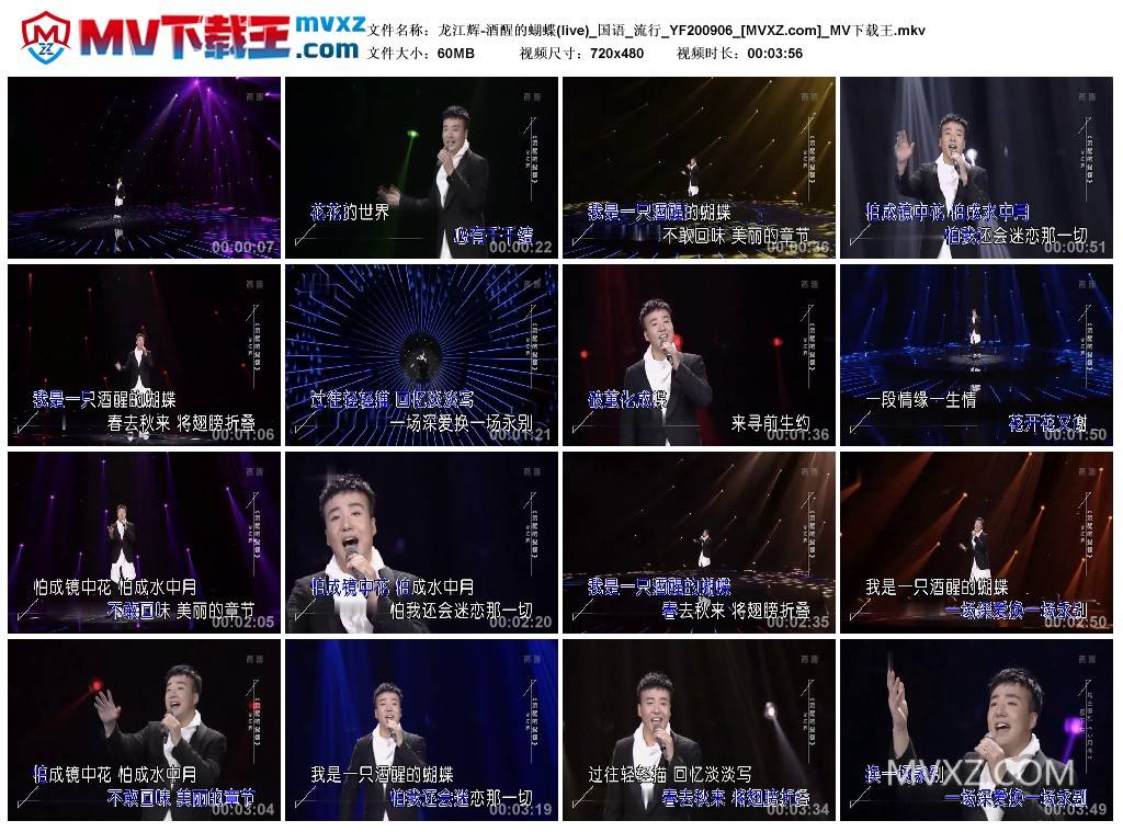 龙江辉-酒醒的蝴蝶(live)_国语_流行_YF200906
